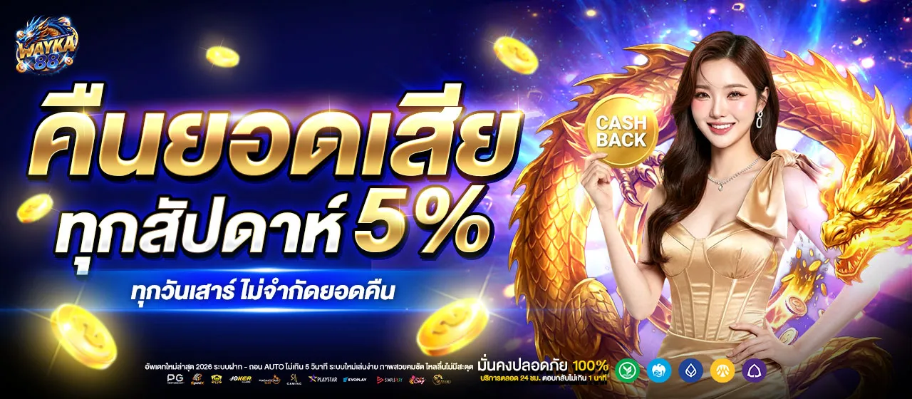 wayka88 promotion3